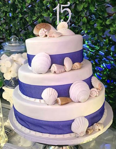 galeria_gateau_5